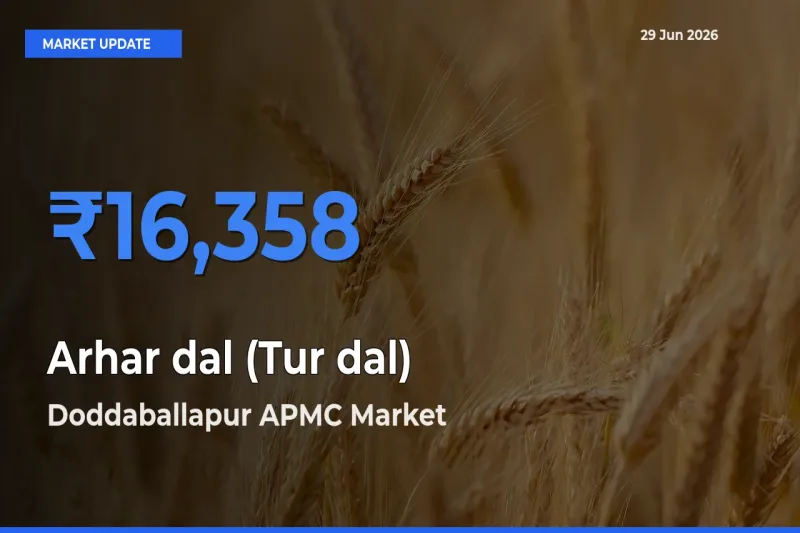 Doddaballapur APMC Records Highest ₹16,358 Rate for Arhar dal (Tur dal)