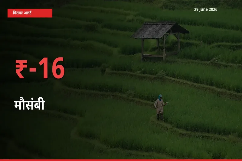 तेज़ गिरावट! मंडी में मौसंबी के दाम 15.61% लुढ़के