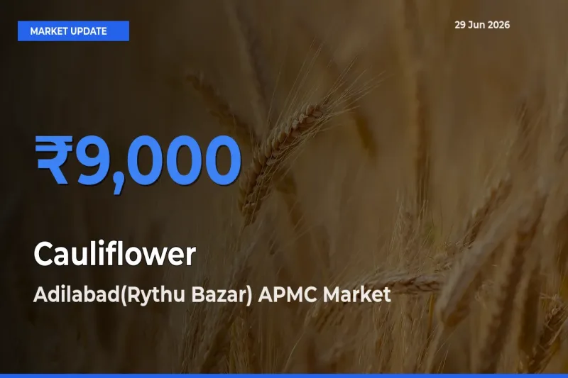 Adilabad(Rythu Bazar) APMC Leads as Top Mandi for Cauliflower Prices
