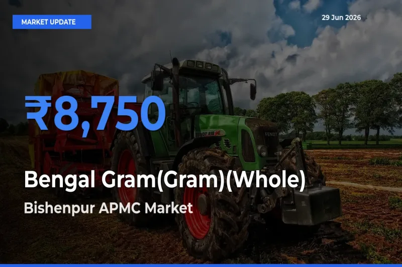 Bishenpur APMC Tops Bengal Gram(Gram)(Whole) Mandi Rates Today
