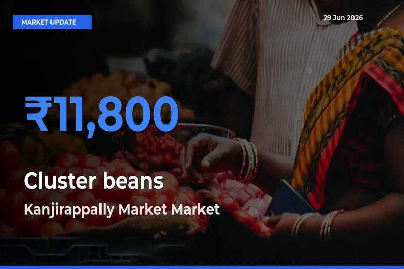 Kanjirappally Market Tops Cluster beans Mandi Rates Today
