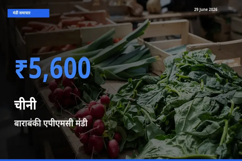आज चीनी के सबसे ऊँचे दाम ₹5,600 बाराबंकी एपीएमसी मंडी में