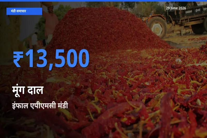 किसानों की पसंद बना इंफाल एपीएमसी, मूंग दाल के सबसे अच्छे दाम
