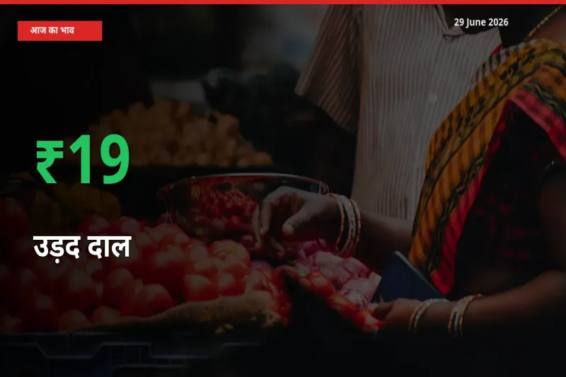 अचानक तेजी! मंडी में उड़द दाल के दाम 19.13% चढ़े