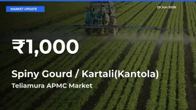 Big Drop! Spiny Gourd / Kartali(Kantola)
 Slides to 30-Day Low at Teliamura APMC