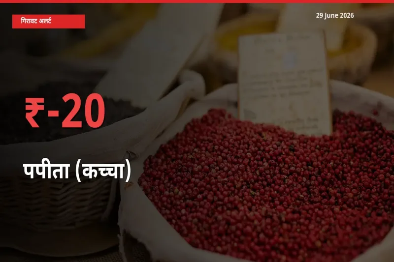 अचानक झटका! मंडी में पपीता (कच्चा) के दाम 20.04% टूटे