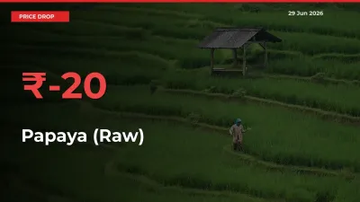 Papaya (Raw) Prices Drop 20.04% in 24 Hours at Major Mandis