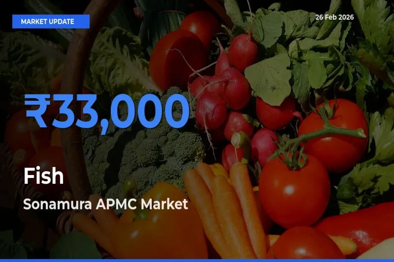 Sonamura APMC Records Highest ₹33,000 Rate for Fish