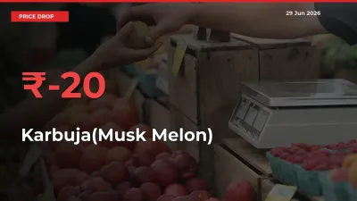 Why Karbuja(Musk Melon) Prices Fell 20.15% in a Day at Mandis