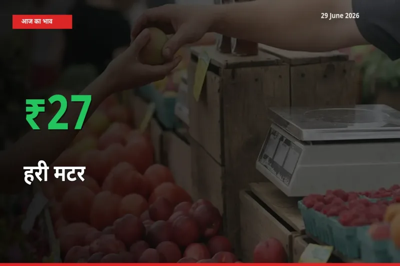 किसानों के लिए खुशखबरी! स्थानीय मंडी में हरी मटर 26.75% उछला