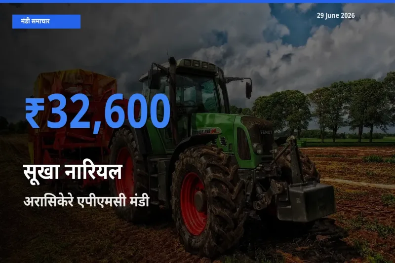 29 June अपडेट: सूखा नारियल के सबसे ऊँचे दाम अरासिकेरे एपीएमसी मंडी में