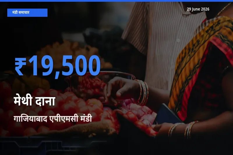 आज का मंडी भाव: मेथी दाना के सबसे ज़्यादा दाम गाजियाबाद एपीएमसी में