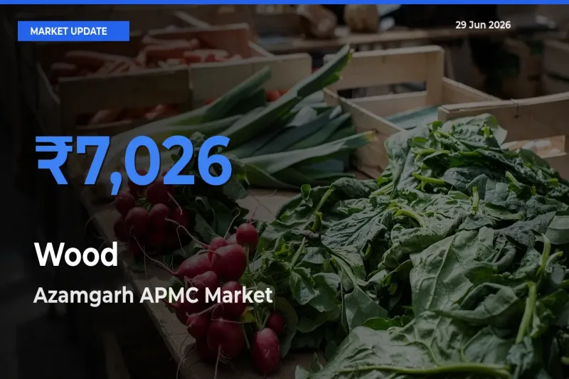 Azamgarh APMC Records Highest ₹7,026 Rate for Wood