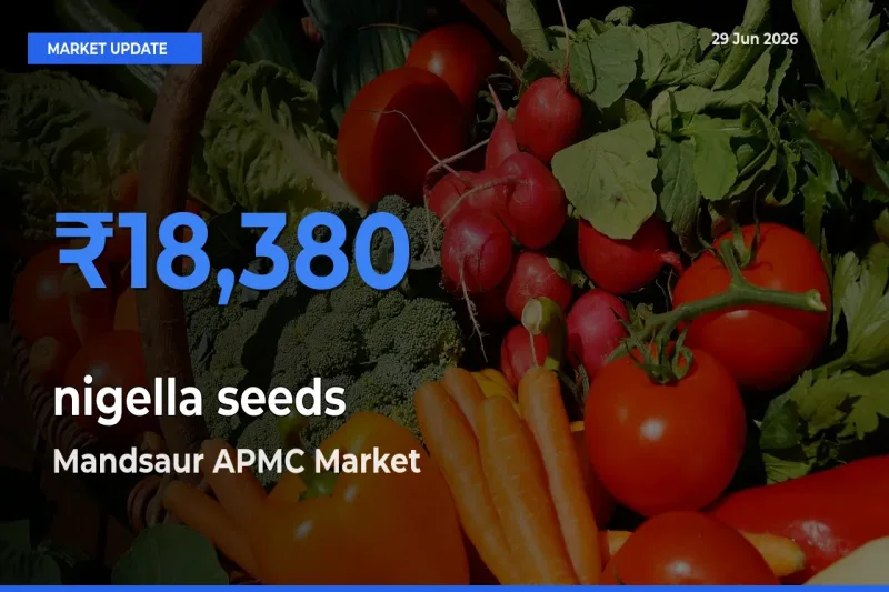 Mandsaur APMC Records Highest ₹18,380 Rate for nigella seeds
