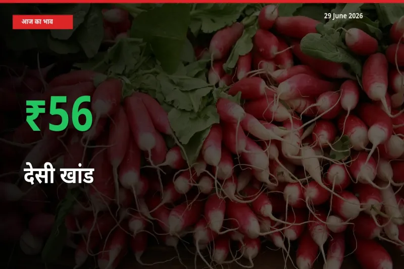 स्थानीय मंडी में देसी खांड के दाम अचानक 55.94% उछले, किसान सतर्क