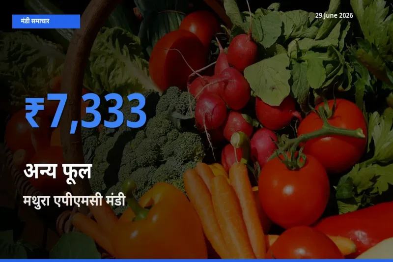मथुरा एपीएमसी मंडी में आज अन्य फूल के सबसे ऊँचे दाम दर्ज