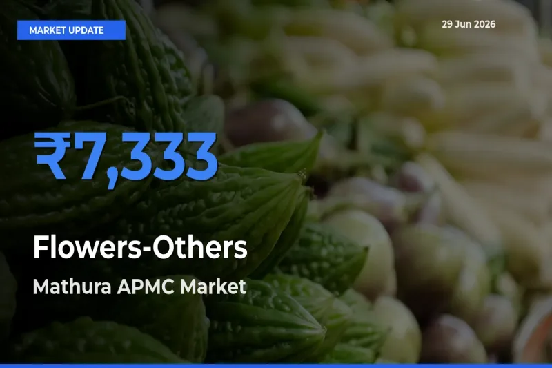 Flowers-Others Mandi Rate Today: Mathura APMC Tops the List