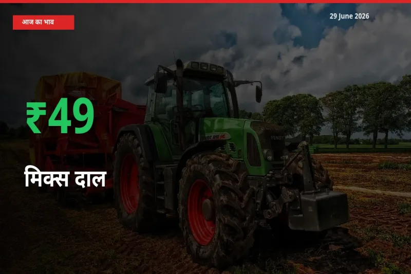 स्थानीय मंडी में मिक्स दाल के दाम अचानक 48.65% उछले, किसान सतर्क
