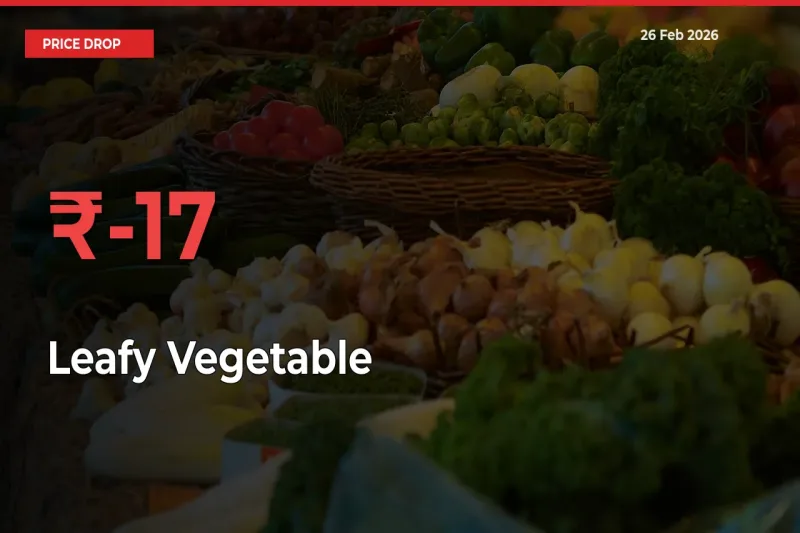 17.36% Drop in Leafy Vegetable Prices – Mandi Sees Sudden Fall