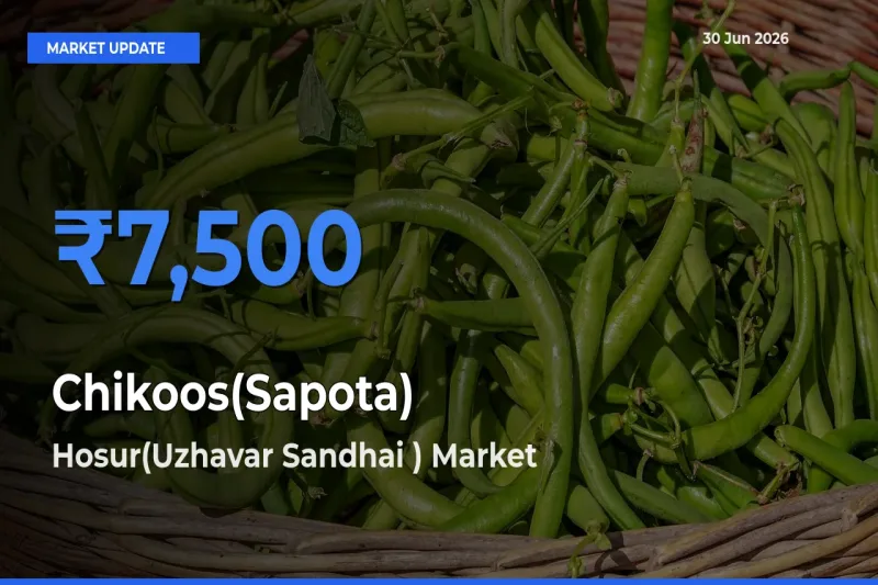 Hosur(Uzhavar Sandhai ) Emerges as Top Mandi for Chikoos(Sapota) Prices Today