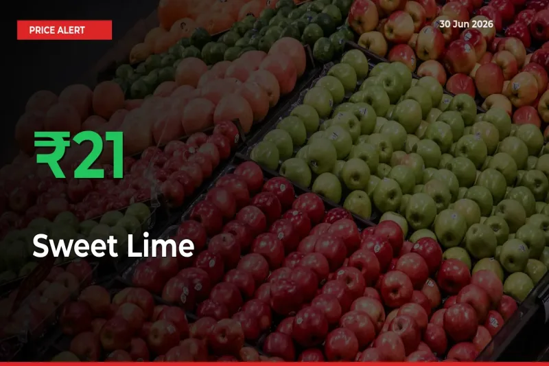 Sudden 20.67% Rally in Sweet Lime Prices Across Mandis