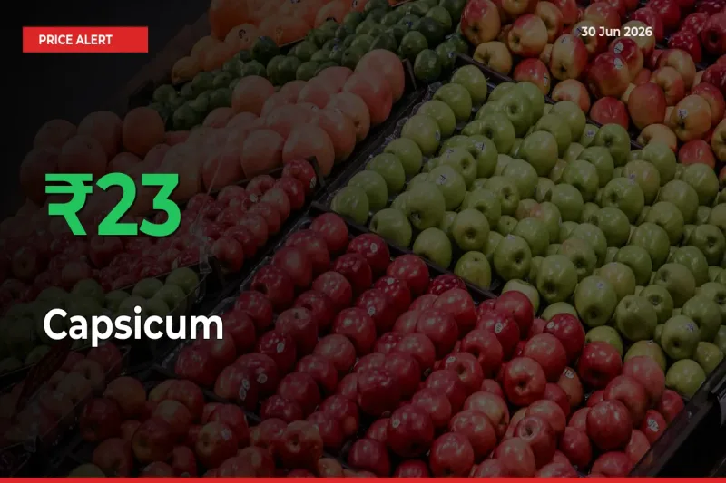 Sharp Jump! Capsicum Prices Climb 22.91% in 24 Hours at Key Mandis