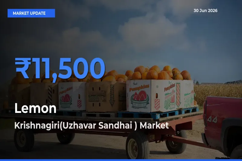 Krishnagiri(Uzhavar Sandhai ) Emerges as Top Mandi for Lemon Prices Today