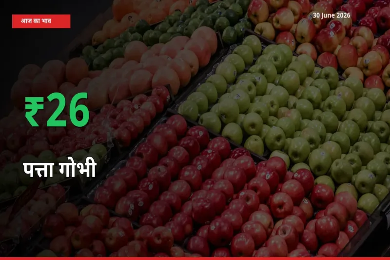 पत्ता गोभी के दाम प्रमुख मंडी में 26.06% बढ़े, 24 घंटे में बड़ा बदलाव