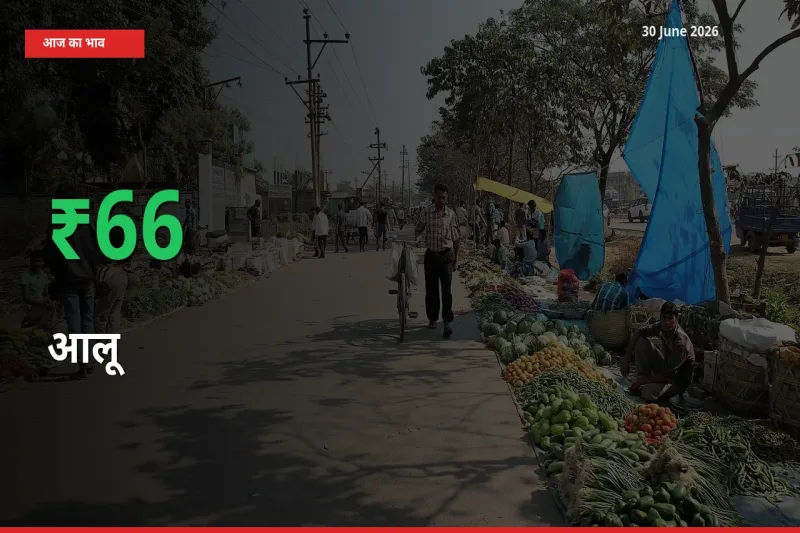 स्थानीय मंडी में आलू के दाम अचानक 66.25% उछले, किसान सतर्क