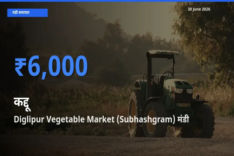 30 June अपडेट: कद्दू के सबसे ऊँचे दाम Diglipur Vegetable Market (Subhashgram) मंडी में