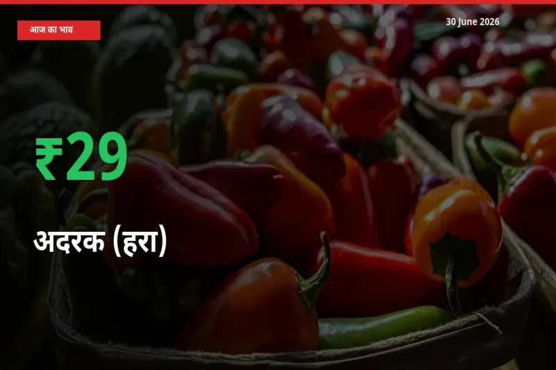 आज का मंडी भाव: अदरक (हरा) के दाम मंडी में 28.94% ऊपर