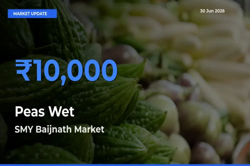 SMY Baijnath Records Highest ₹10,000 Rate for Peas Wet