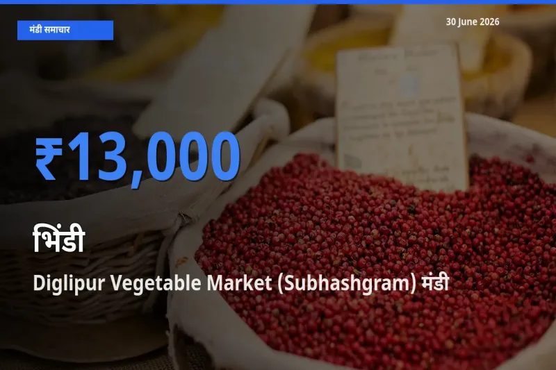 Diglipur Vegetable Market (Subhashgram) मंडी में आज भिंडी के सबसे ऊँचे दाम दर्ज