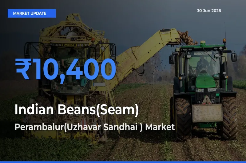 Farmers Prefer Perambalur(Uzhavar Sandhai ) as Indian Beans(Seam) Hits Highest Rate