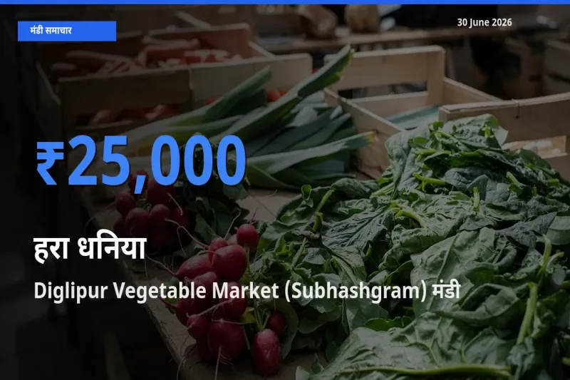 30 June अपडेट: हरा धनिया के सबसे ऊँचे दाम Diglipur Vegetable Market (Subhashgram) मंडी में