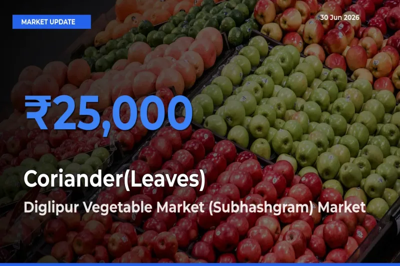 Diglipur Vegetable Market (Subhashgram) Tops Coriander(Leaves) Rates – June 30 Market Update