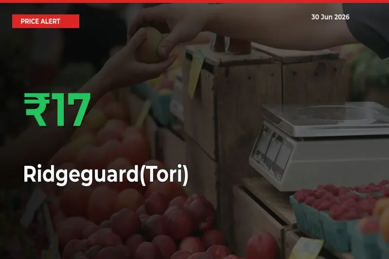 Why Ridgeguard(Tori) Prices Rose 16.5% in a Day at Mandis