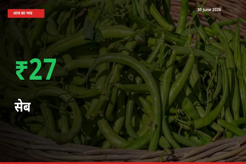 किसानों के लिए खुशखबरी! स्थानीय मंडी में सेब 27.4% उछला
