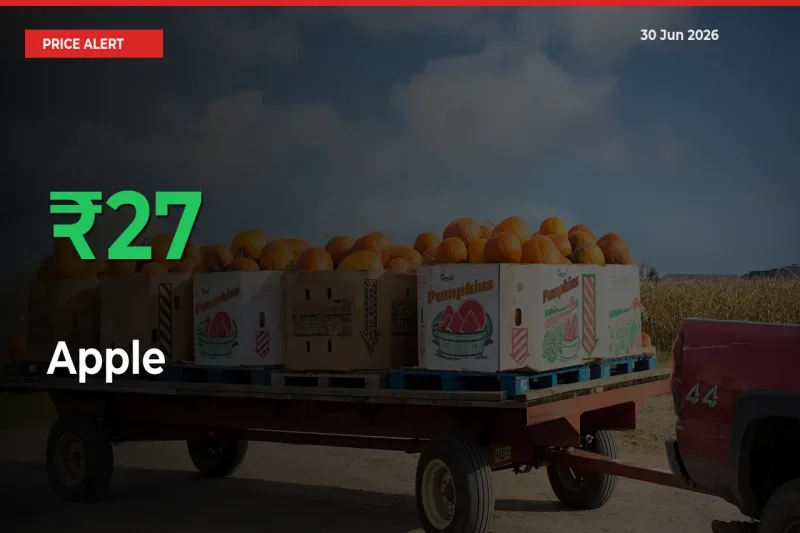 Farmers Cheer as Apple Prices Surge 27.4% in Local Mandis