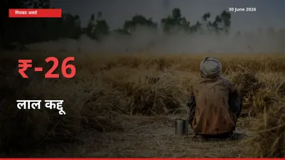 25.74% की गिरावट! मंडी में लाल कद्दू के दाम अचानक टूटे