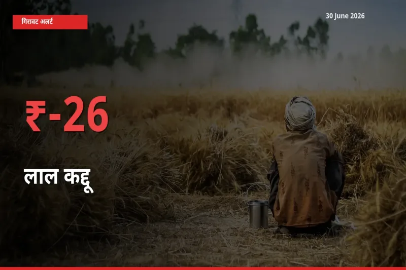25.74% की गिरावट! मंडी में लाल कद्दू के दाम अचानक टूटे
