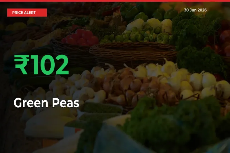 102.13% Spike in Green Peas Prices – Mandi Sees Sudden Rally