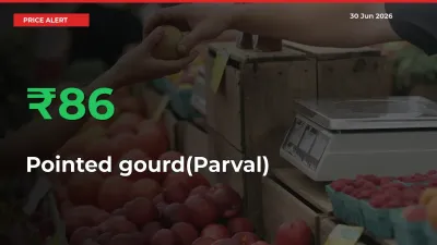 Pointed gourd(Parval) Mandi Rate Today: Prices Jump 85.72% at Market