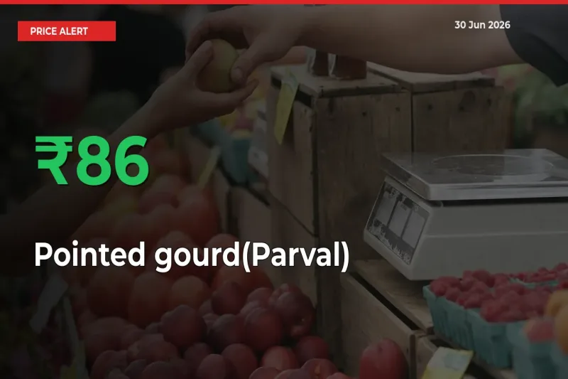 Pointed gourd(Parval) Mandi Rate Today: Prices Jump 85.72% at Market