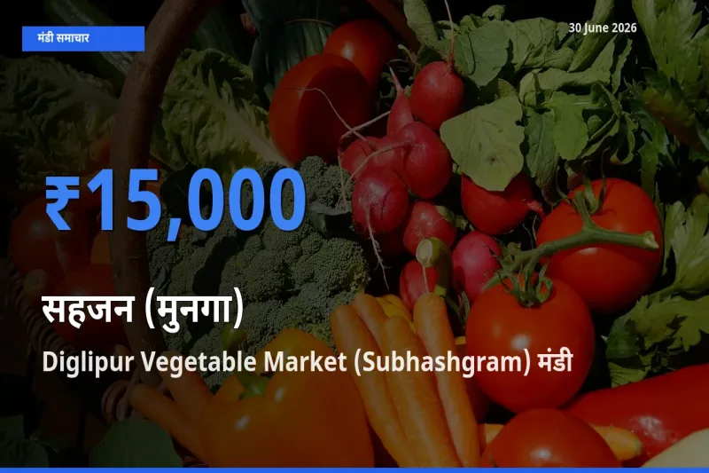आज सहजन (मुनगा) के सबसे ज़्यादा दाम Diglipur Vegetable Market (Subhashgram) मंडी में दर्ज