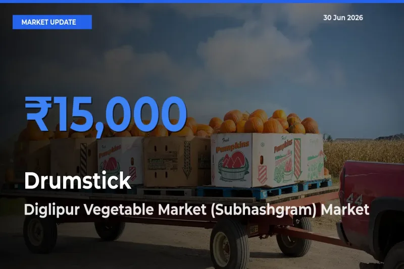 Diglipur Vegetable Market (Subhashgram) Tops Drumstick Rates – June 30 Market Update