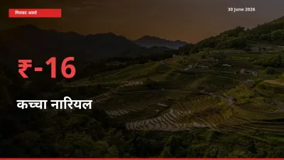 कच्चा नारियल 15.74% गिरा, मंडी