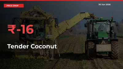 Why Tender Coconut Prices Fell 15.74% in a Day at Mandis