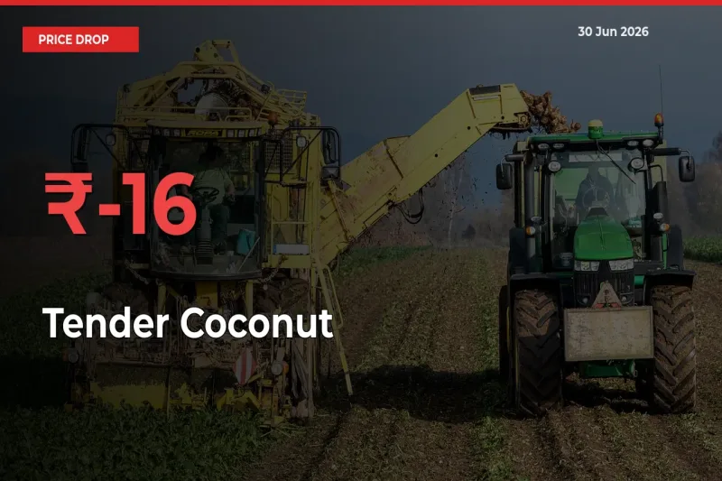 Why Tender Coconut Prices Fell 15.74% in a Day at Mandis