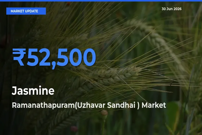 Ramanathapuram(Uzhavar Sandhai ) Tops Jasmine Mandi Rates Today
